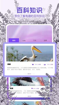 識物相機(jī)截圖