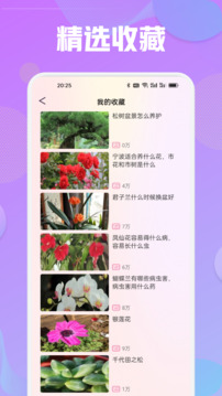 花語秀截圖