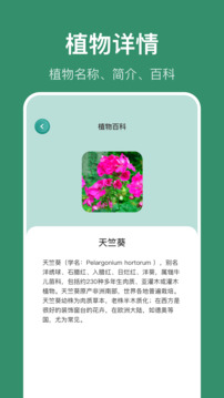識(shí)花草截圖