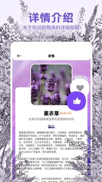 識物相機(jī)截圖