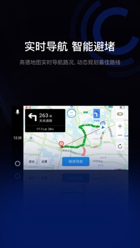 駕駛伴侶截圖