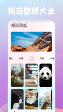 玫瑰截圖