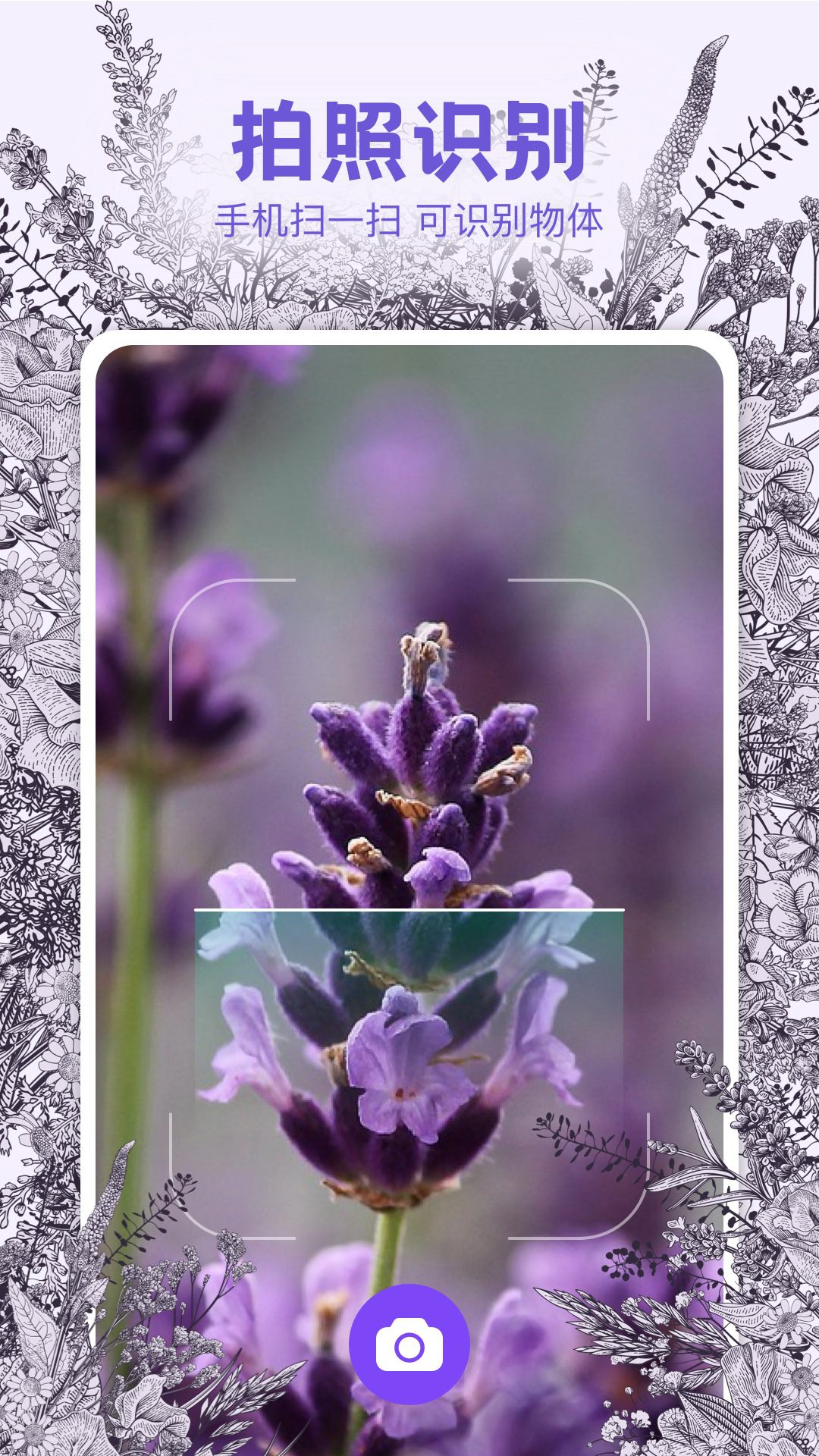 識(shí)物相機(jī)截圖預(yù)覽