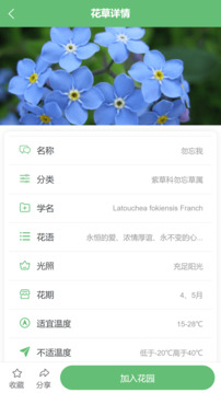 東籬花草截圖