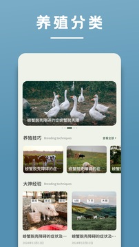 陽光養(yǎng)豬場截圖