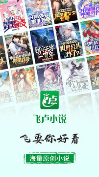 飛盧小說截圖
