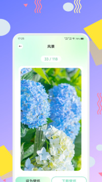 荷花截圖