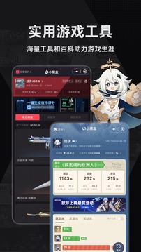 小黑盒截圖