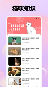 小貓玩具截圖