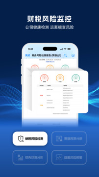 DeepTax截圖
