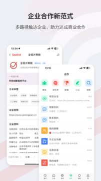 Seelink截圖