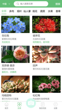 東籬花草截圖