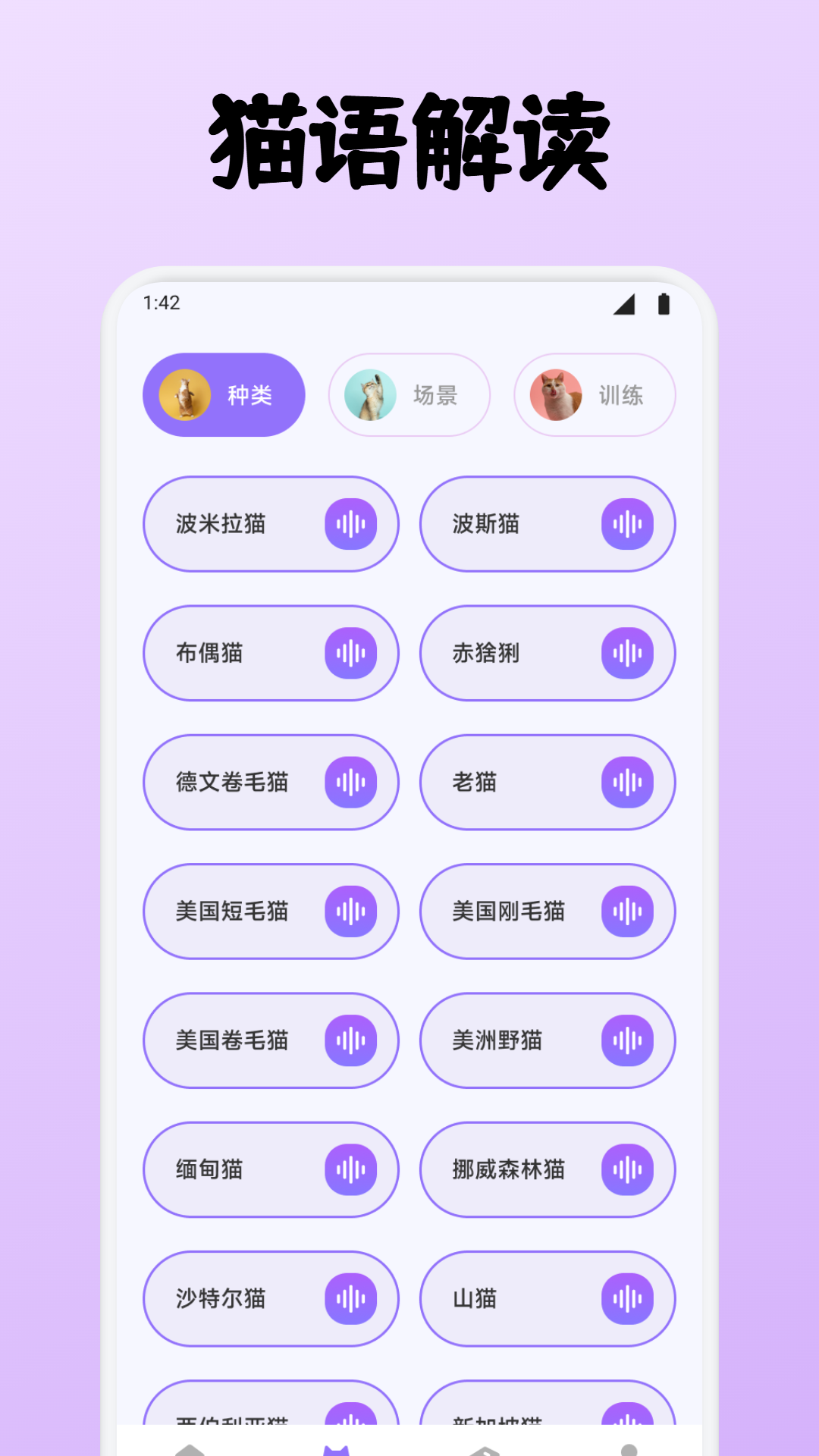 小貓玩具截圖預覽