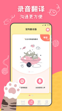 小絨貓狗截圖