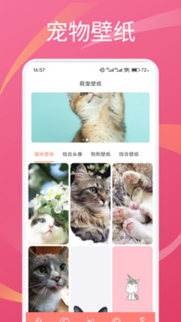 小貓截圖