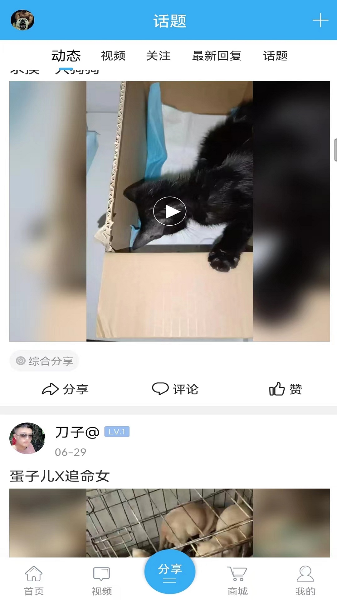 应用截图4预览