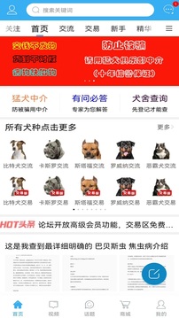 猛犬俱樂部截圖
