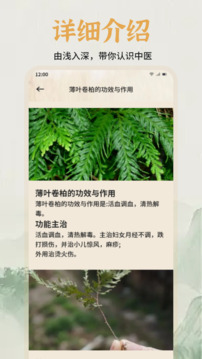 中醫(yī)經(jīng)絡(luò)穴位圖譜截圖