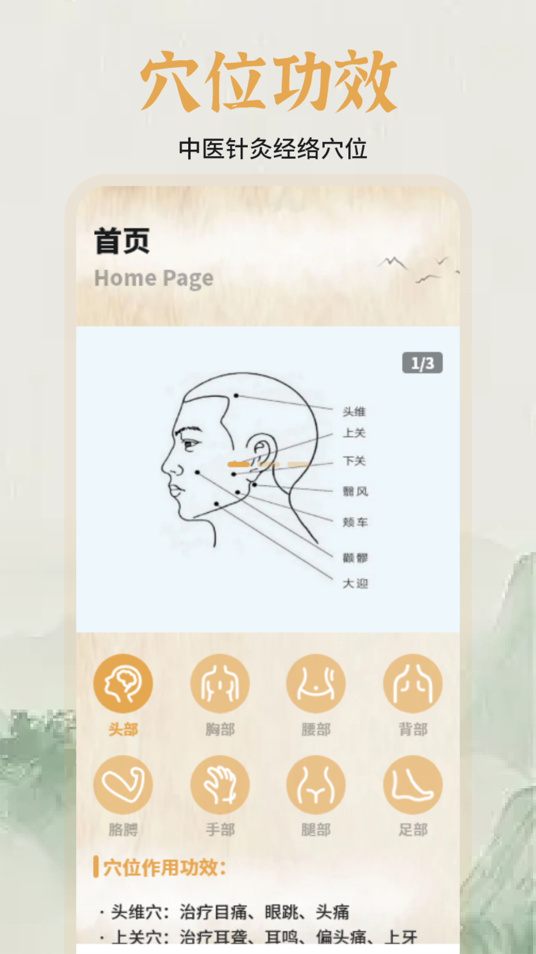 中醫(yī)經(jīng)絡穴位圖譜截圖預覽