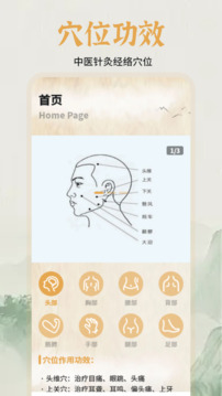中醫(yī)經(jīng)絡(luò)穴位圖譜截圖