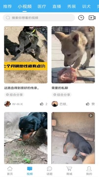 猛犬俱樂部截圖