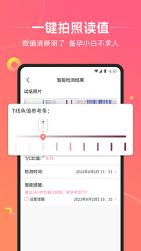 孕橙截圖