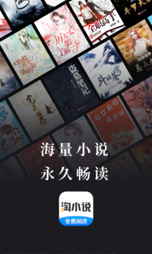 淘小說截圖