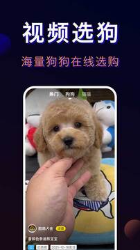 寵物寶截圖