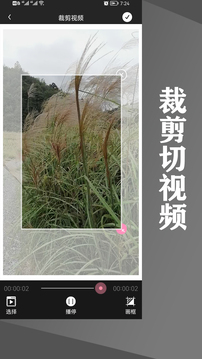 水印王截圖
