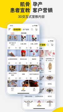 3DBody解剖截圖