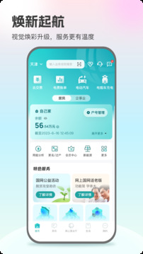 網(wǎng)上國網(wǎng)截圖