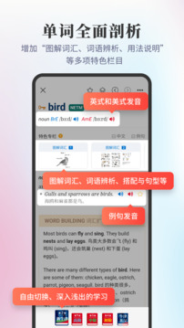 新牛津英漢雙解大詞典截圖