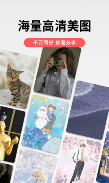 堆糖截圖