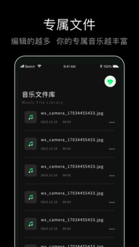 黑膠唱片截圖