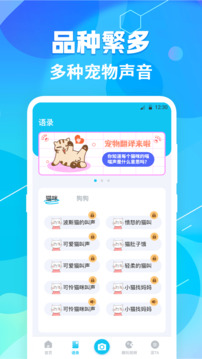 貓語(yǔ)翻譯pet截圖