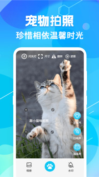 貓語(yǔ)翻譯pet截圖
