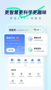 寵智靈截圖