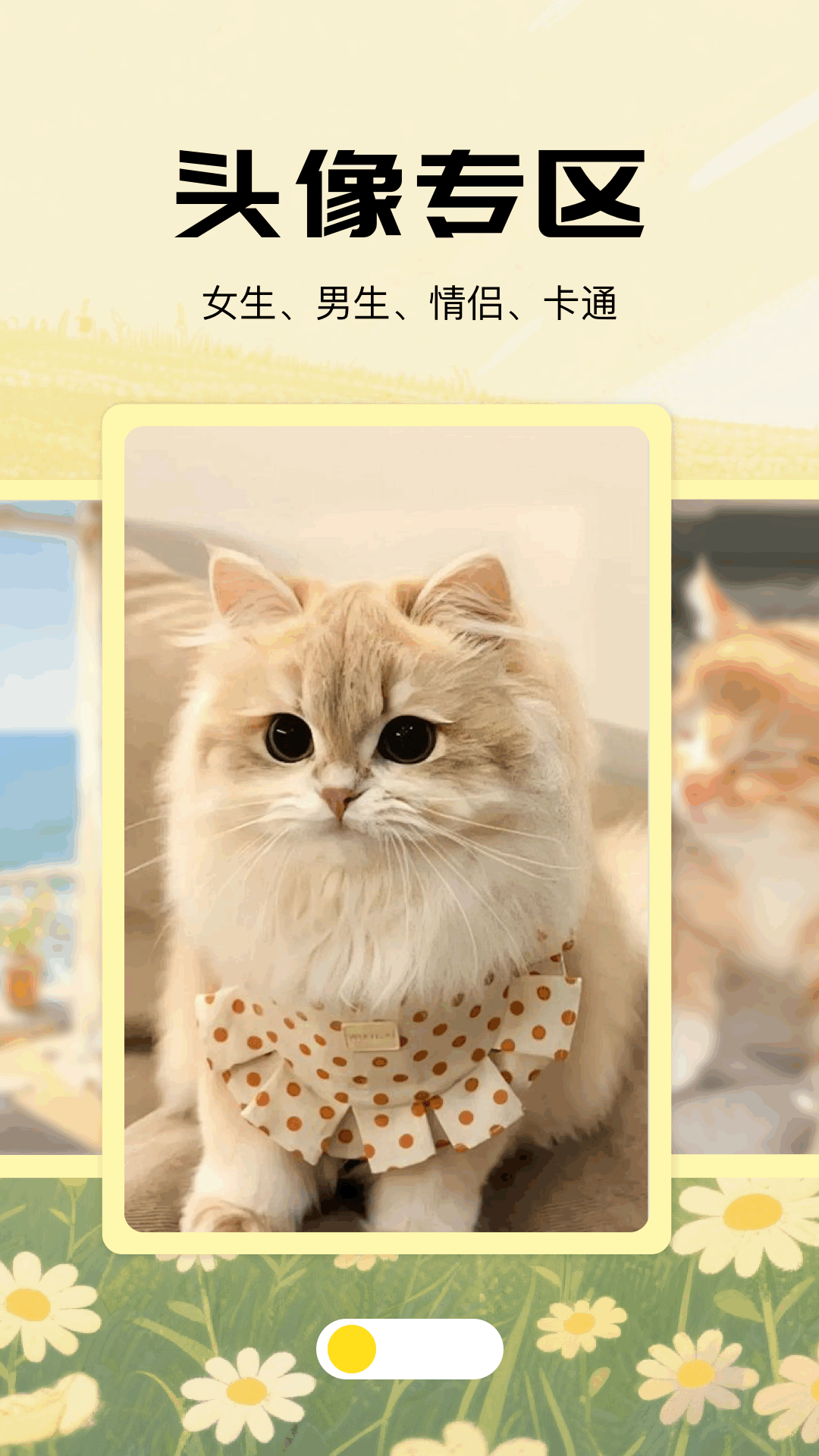 wall壁紙截圖預覽