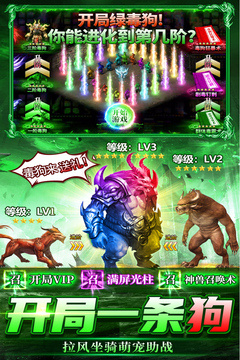 雷神戰(zhàn)紀截圖