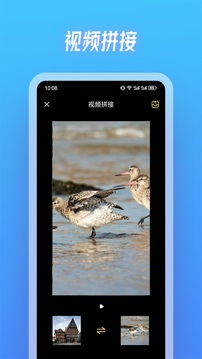 水仙視頻截圖