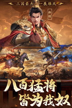 三國(guó)志戰(zhàn)棋天下截圖