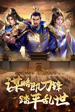 三國(guó)志戰(zhàn)棋天下截圖
