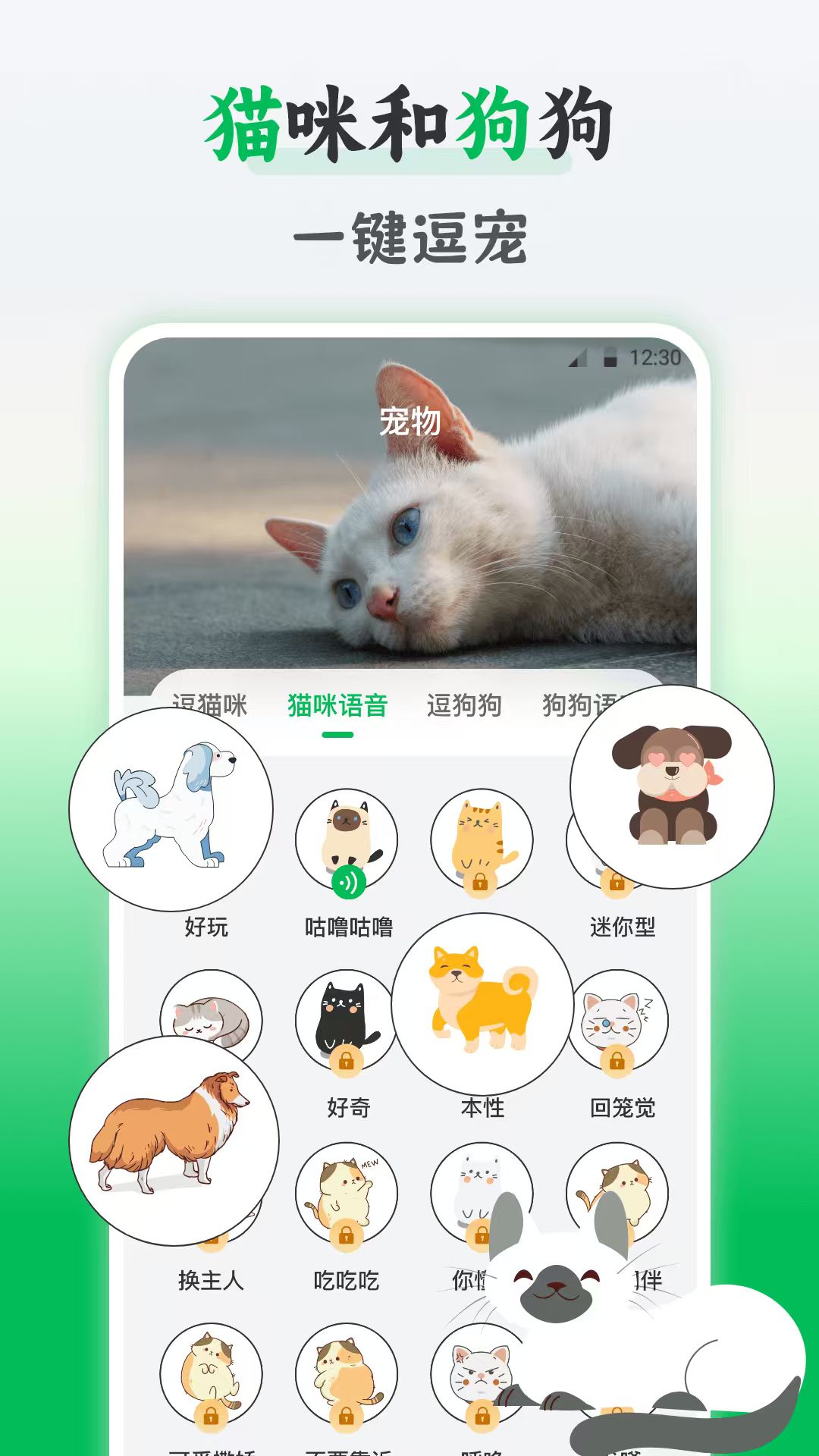 鳥語交流器截圖預覽