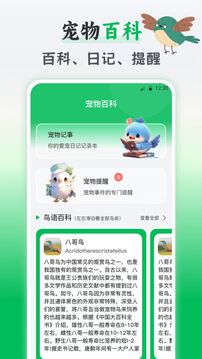 鸟语交流器截图
