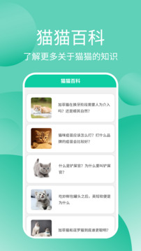 貓貓交流器截圖