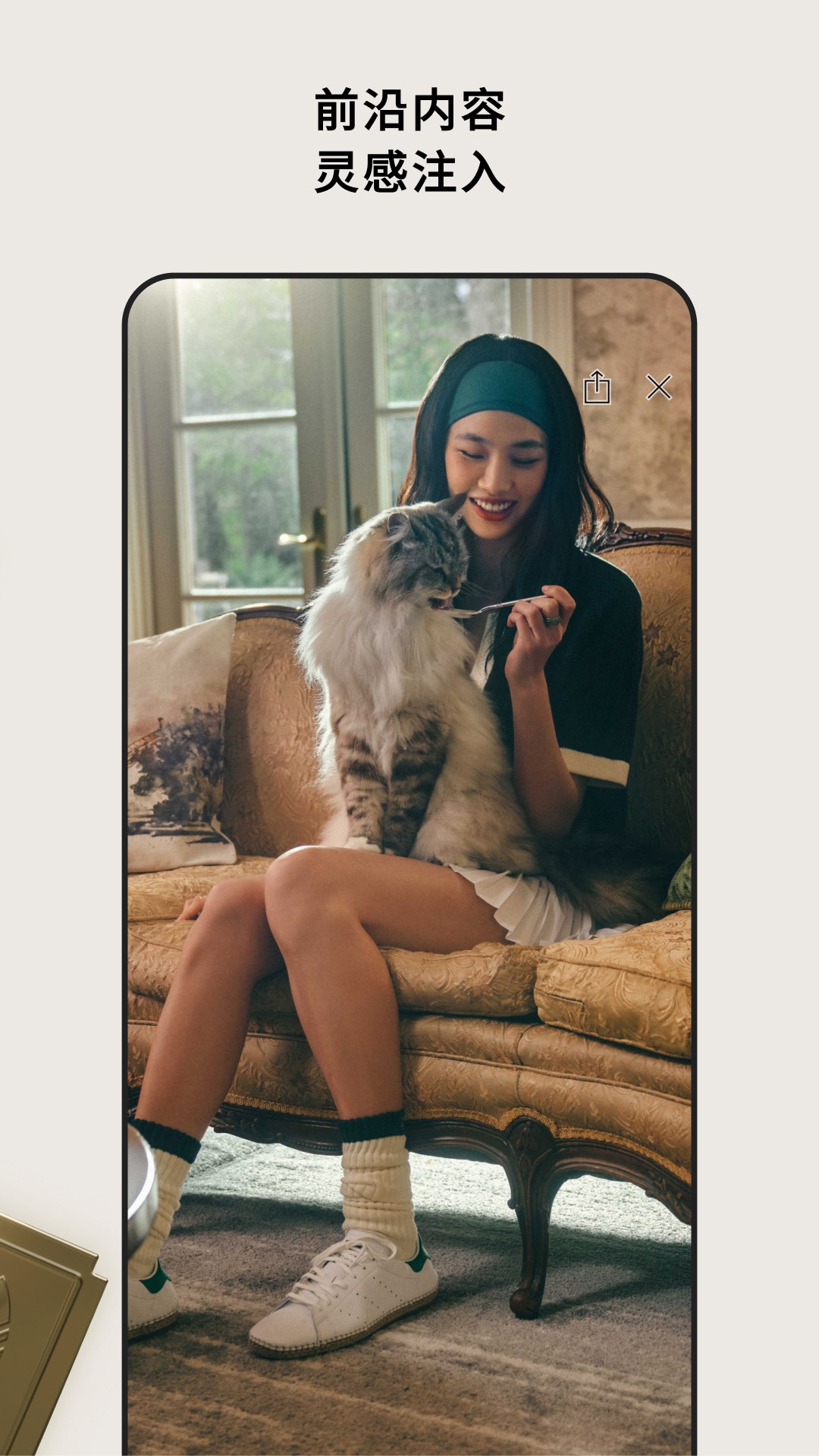 CONFIRMED截圖預(yù)覽