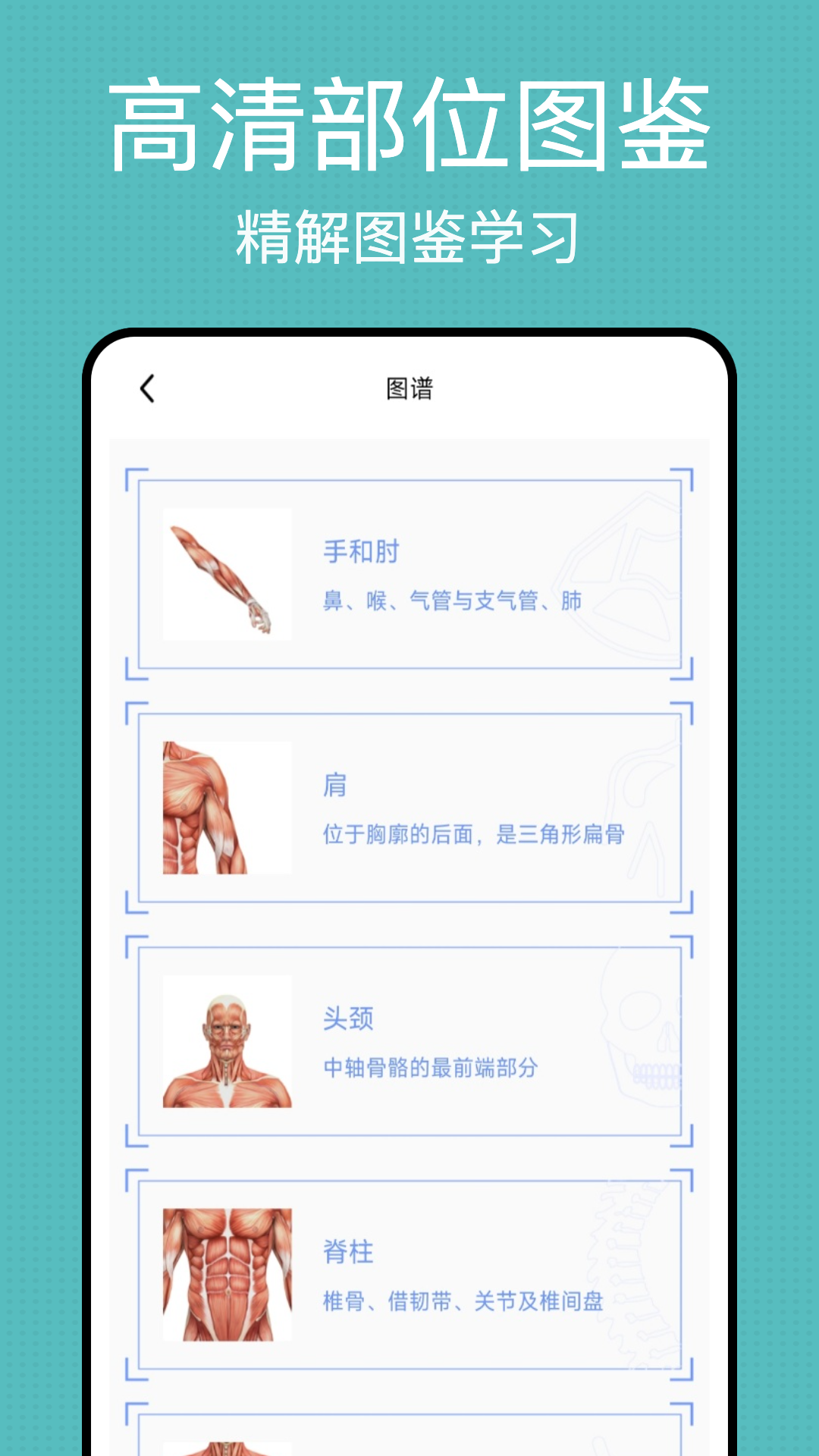 3d解剖截圖預(yù)覽