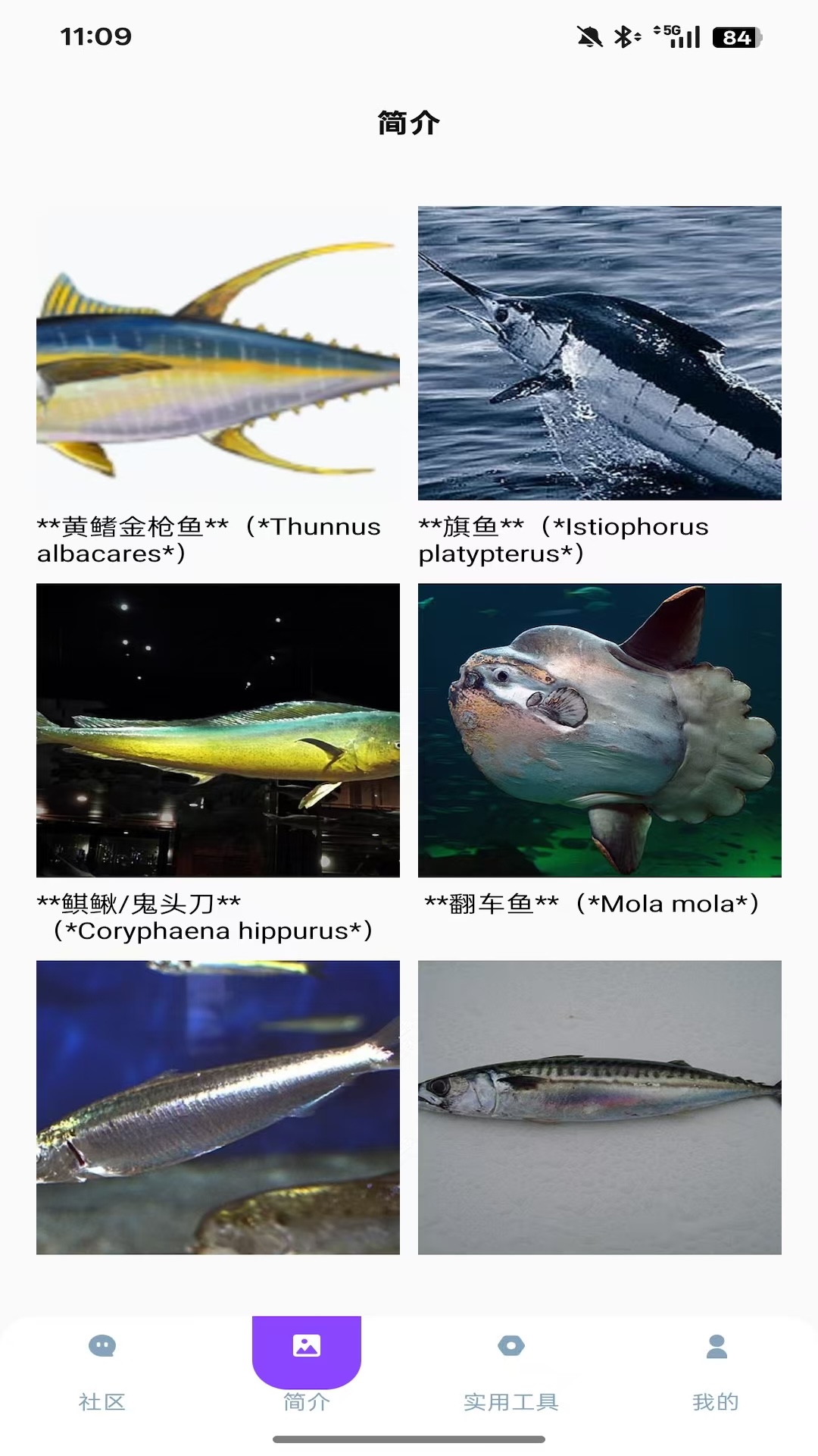 海角社區(qū)截圖預(yù)覽