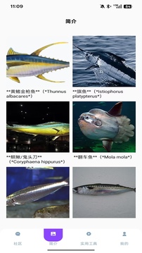 海角社區(qū)截圖