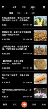 糧策截圖